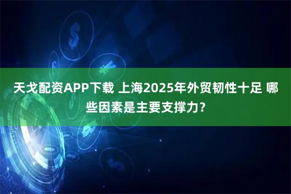 天戈配资APP下载 上海2025年外贸韧性十足 哪些因素是主要支撑力？